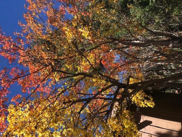 Junipine Resort Sedona Buitenkant foto